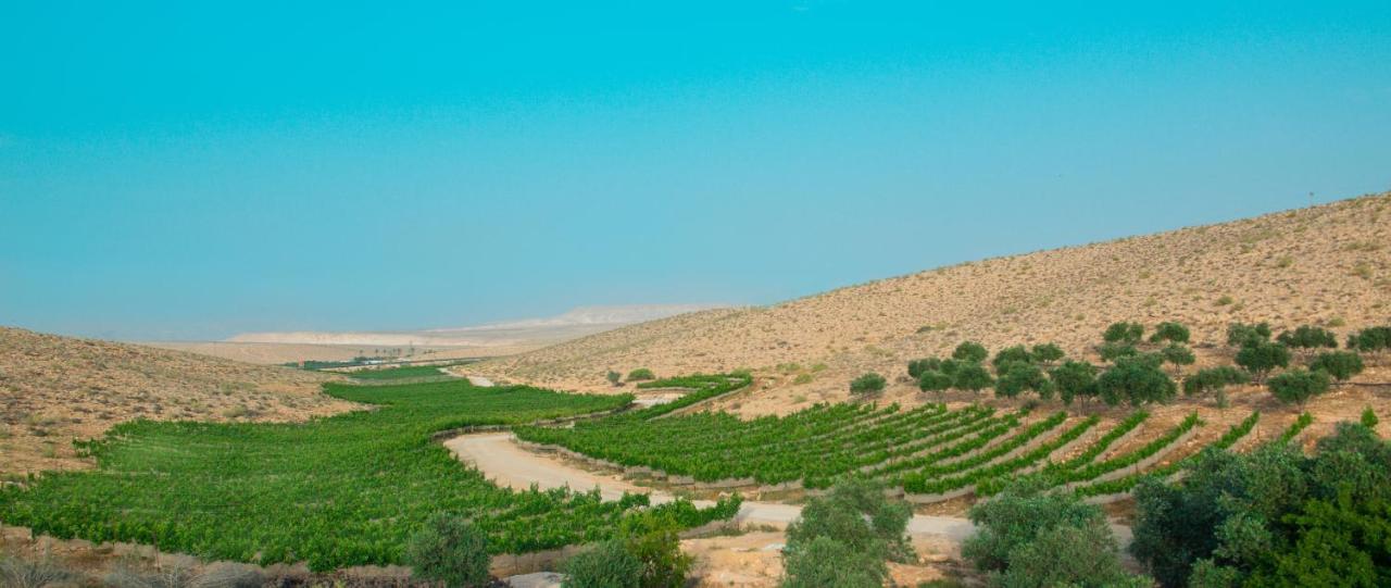Carmey Avdat Farm Midreshet Ben Gurion Eksteriør bilde