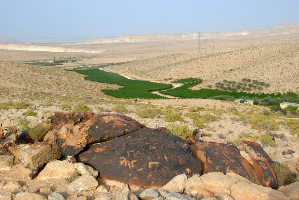 Carmey Avdat Farm Midreshet Ben Gurion Eksteriør bilde